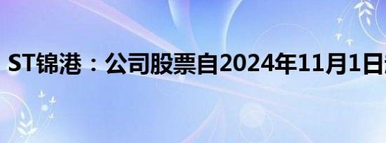 ST锦港：公司股票自2024年11月1日起复牌