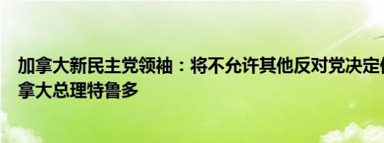 加拿大新民主党领袖：将不允许其他反对党决定何时推翻加拿大总理特鲁多