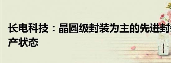 长电科技：晶圆级封装为主的先进封装已达满产状态