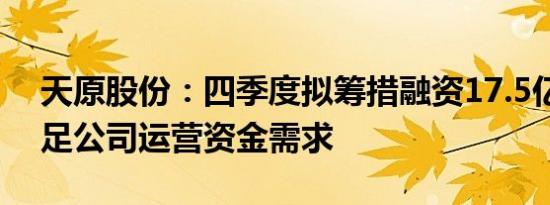 天原股份：四季度拟筹措融资17.5亿元以满足公司运营资金需求