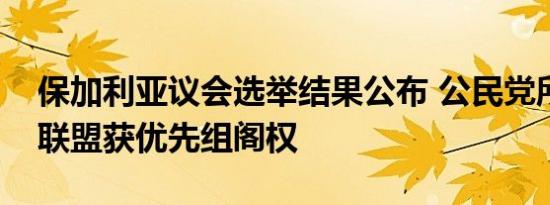 保加利亚议会选举结果公布 公民党所在政党联盟获优先组阁权