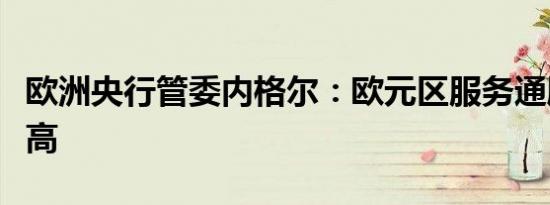 欧洲央行管委内格尔：欧元区服务通胀仍然偏高