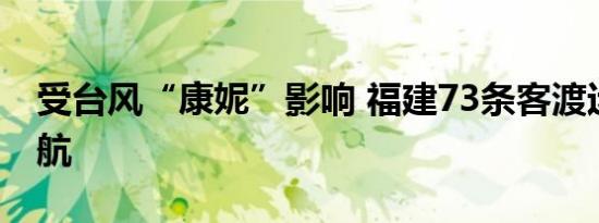 受台风“康妮”影响 福建73条客渡运航线停航