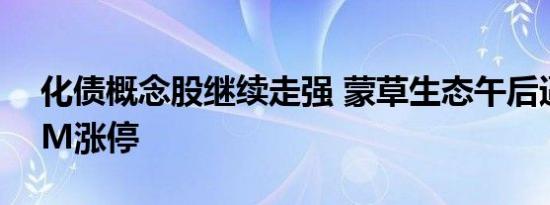 化债概念股继续走强 蒙草生态午后逼近20CM涨停