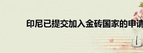 印尼已提交加入金砖国家的申请