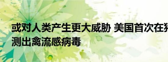 或对人类产生更大威胁 美国首次在猪体内检测出禽流感病毒