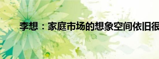 李想：家庭市场的想象空间依旧很大