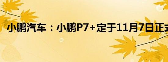 小鹏汽车：小鹏P7+定于11月7日正式上市