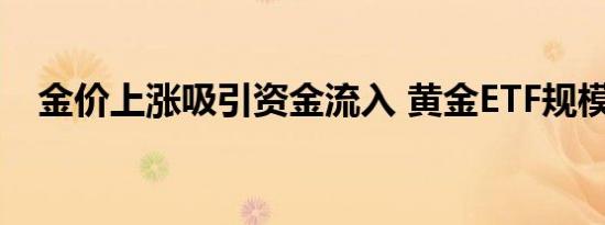 金价上涨吸引资金流入 黄金ETF规模大增