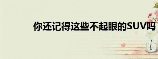 你还记得这些不起眼的SUV吗