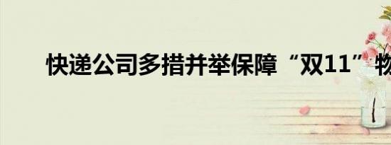 快递公司多措并举保障“双11”物流