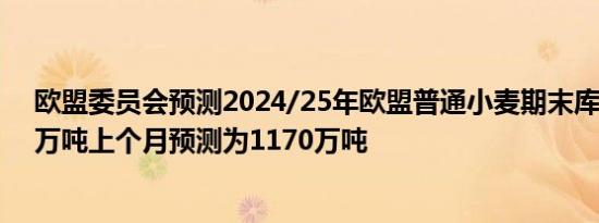 欧盟委员会预测2024/25年欧盟普通小麦期末库存为1040万吨上个月预测为1170万吨