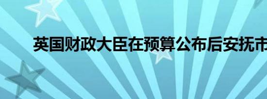 英国财政大臣在预算公布后安抚市场
