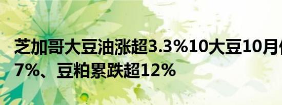 芝加哥大豆油涨超3.3%10大豆10月份累跌超7%、豆粕累跌超12%