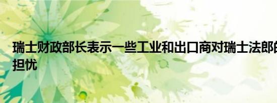 瑞士财政部长表示一些工业和出口商对瑞士法郎的强势表示担忧