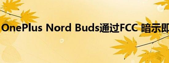 OnePlus Nord Buds通过FCC 暗示即将推出