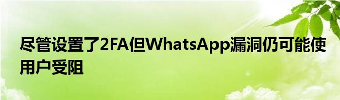 whatsapp对话框上线