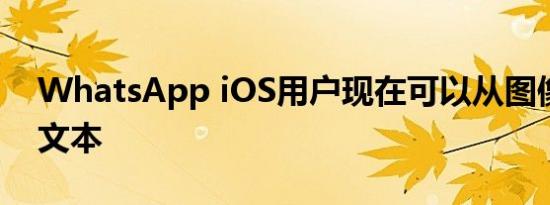 WhatsApp iOS用户现在可以从图像中复制文本
