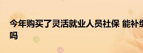 今年购买了灵活就业人员社保 能补缴去年的吗