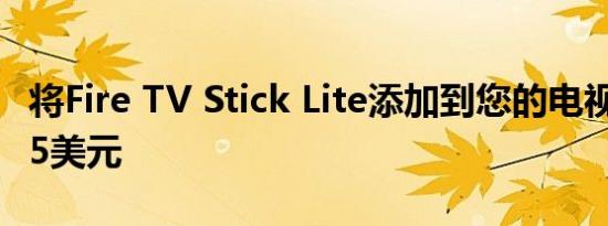 将Fire TV Stick Lite添加到您的电视中只需25美元