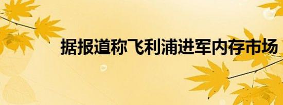 据报道称飞利浦进军内存市场