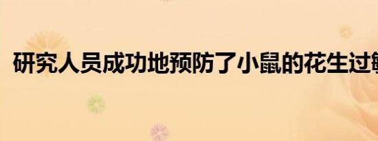 研究人员成功地预防了小鼠的花生过敏反应