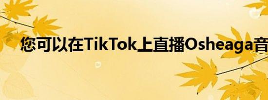 您可以在TikTok上直播Osheaga音乐节