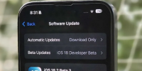 iOS 18.2 在设置应用中添加了统一的默认应用部分以及新类别